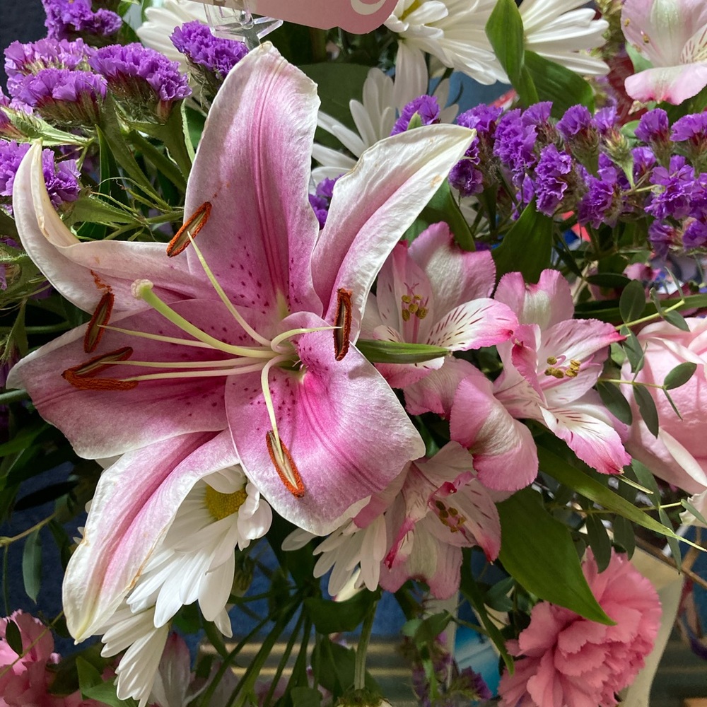 Meet your Posher, Sandra